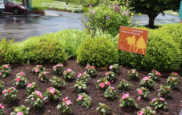 A beautiful garden with pink flowers and a sign near a paved pathway.
