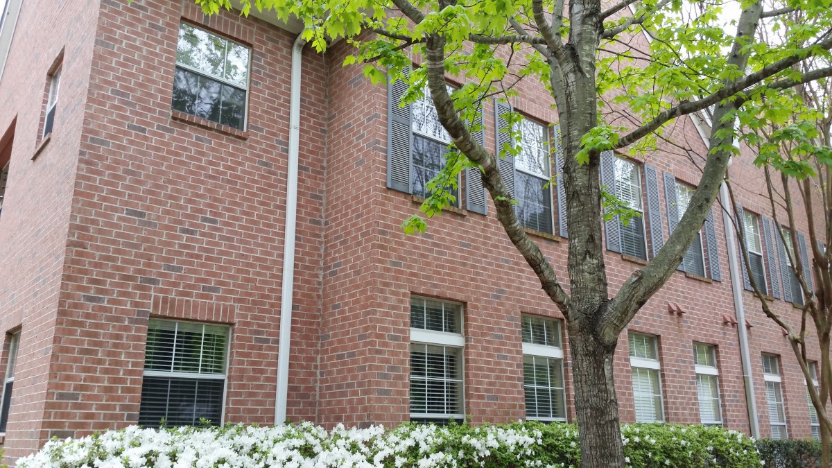 A brick building with multiple windows, surrounded by a tree and green bushes.