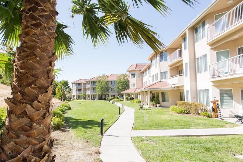 A sunny day at an apartment complex with palm trees and a well-kept lawn.