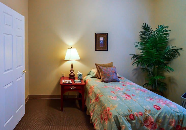 A cozy bedroom with a single bed, adorned with colorful bedding and decorative pillows. A lamp sits on a wooden nightstand next to the bed, and a large plant is placed in the corner.