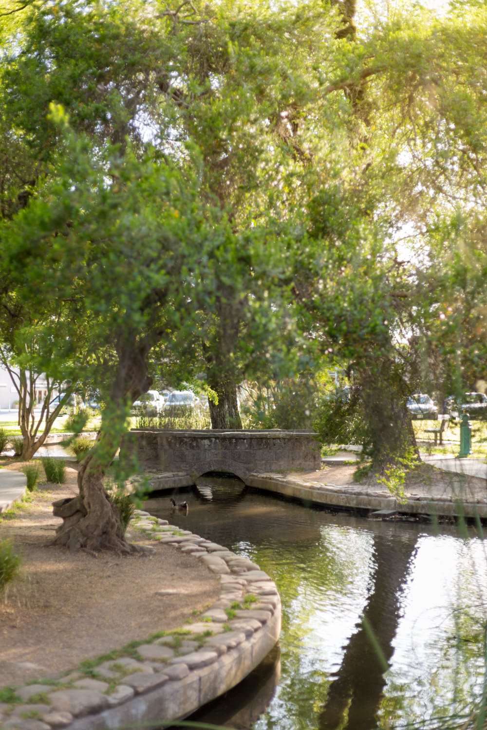 A serene park scene featuring a small stone bridge over a gentle stream surrounded by lush trees.