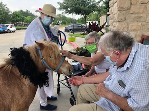 Elderly individuals interacting with a miniature therapy horse outdoors, following pandemic safety measures.