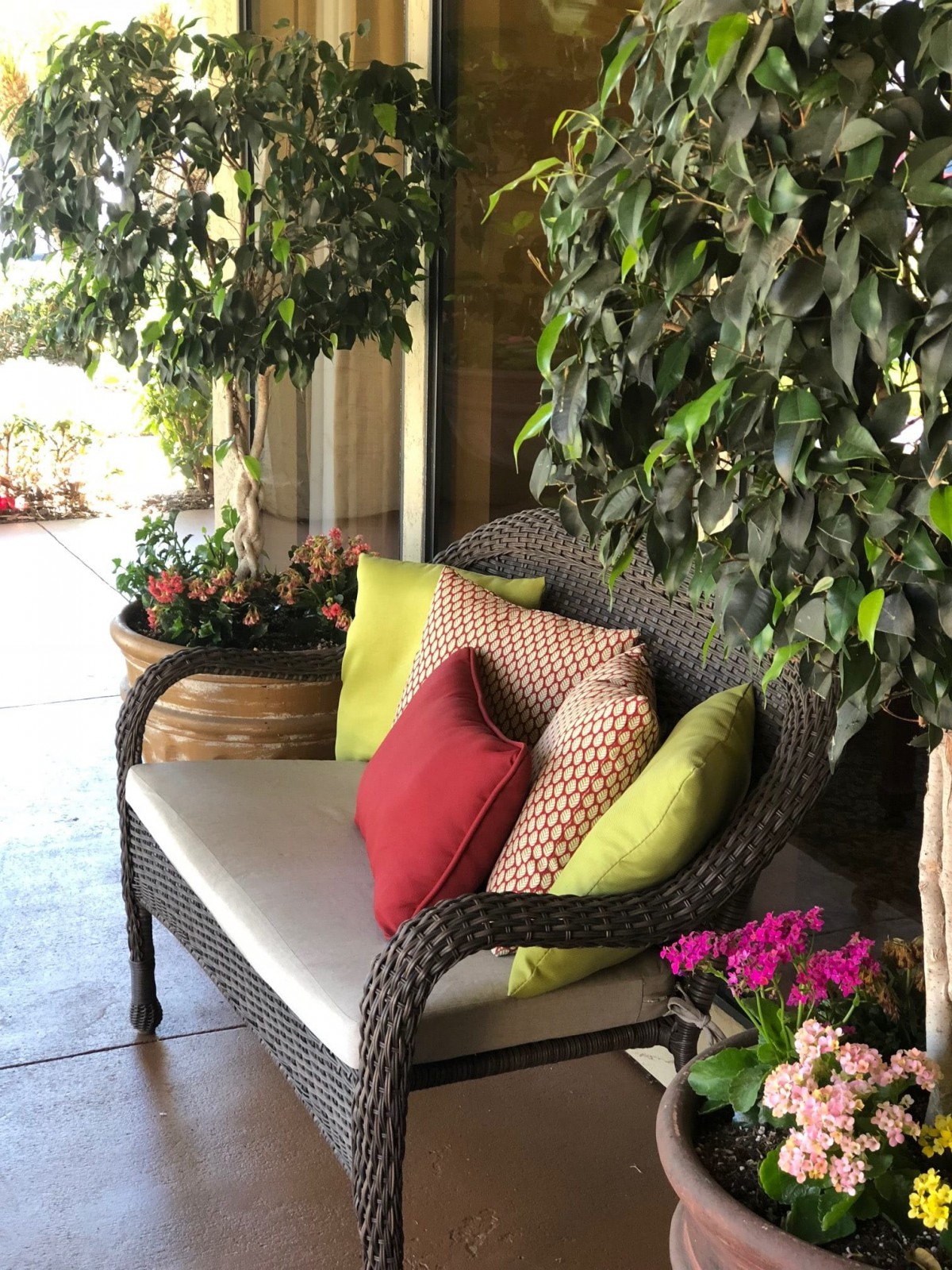 A cozy patio with a cushioned bench surrounded by plants.