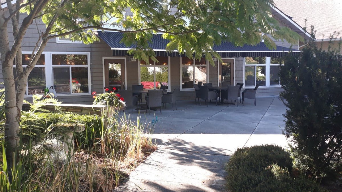 A sunny outdoor patio area with chairs and tables shaded by trees.