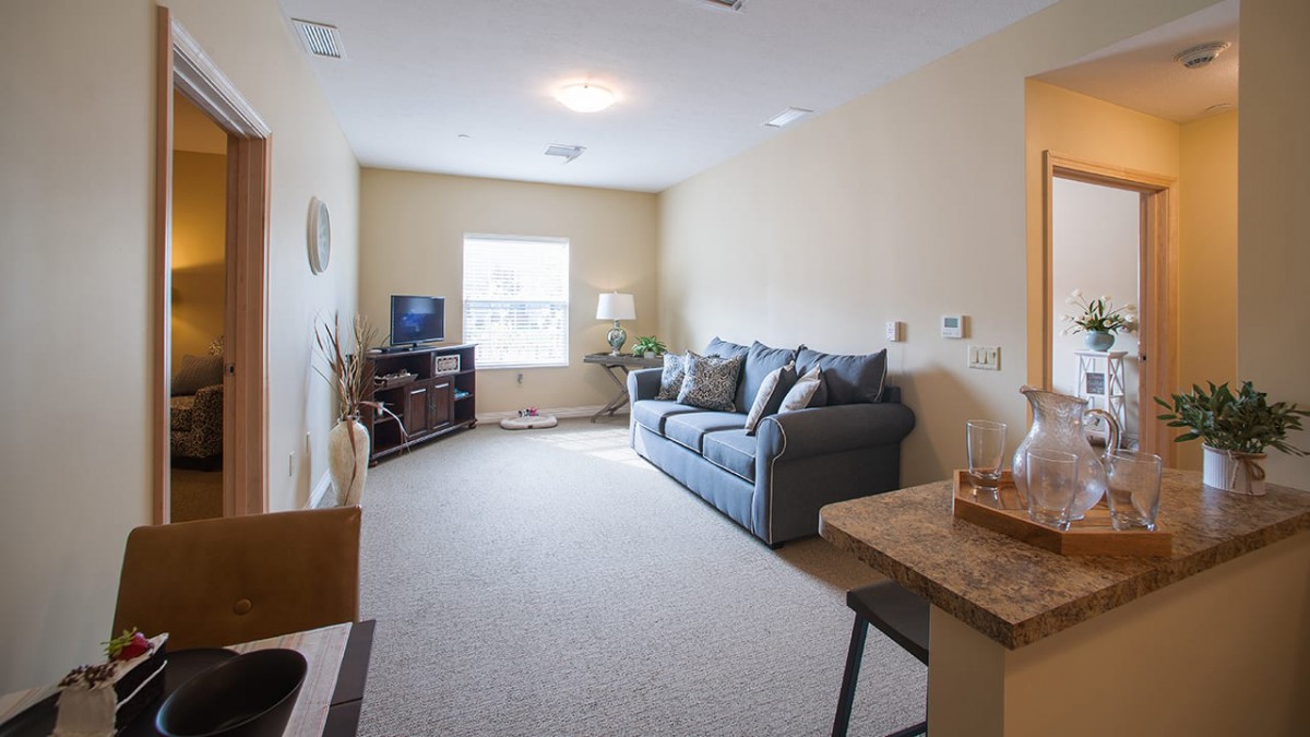 A cozy living room with a sofa, television, and natural light coming through a window.