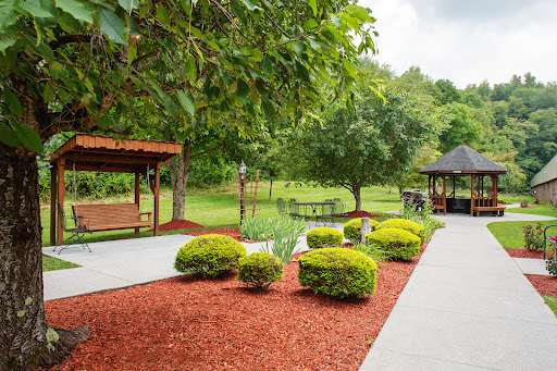 A serene park area featuring well-maintained bushes and pathways, perfect for a leisurely stroll.