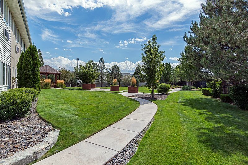 A scenic view of a park with a winding pathway, surrounded by lush green grass and trees under a sunny sky.