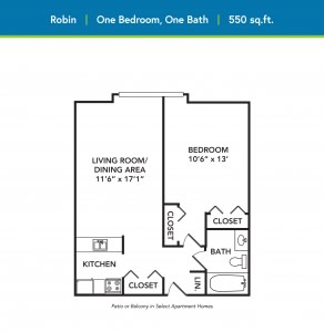 A floor plan of a one-bedroom, one-bath apartment measuring 550 square feet.