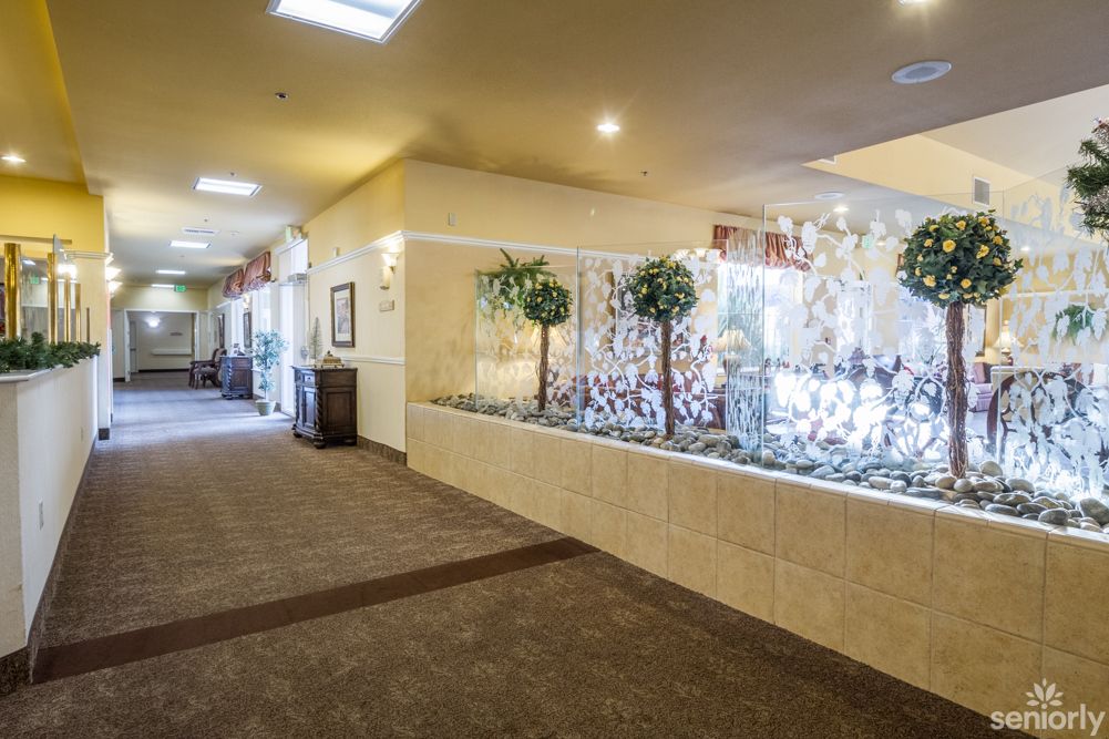 A well-lit carpeted hallway with decorative plants and elegant interior design.