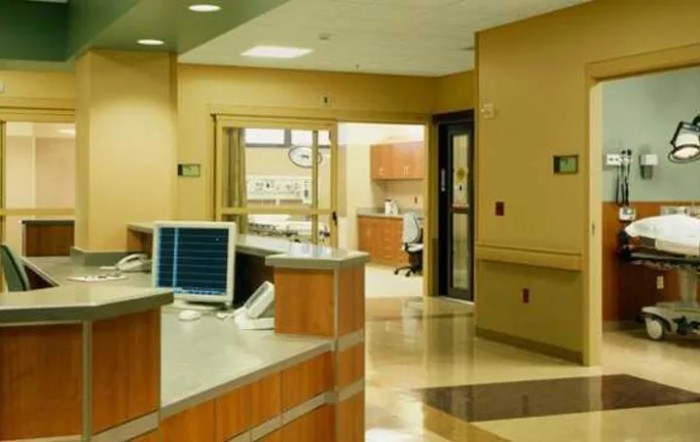 Galena Stauss Nursing Home