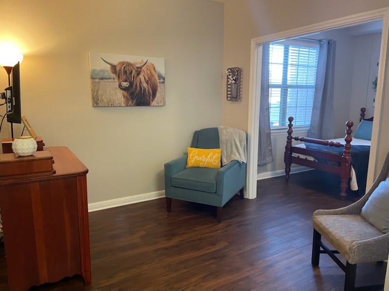 A cozy living room featuring a teal chair, an animal painting, and natural lighting.