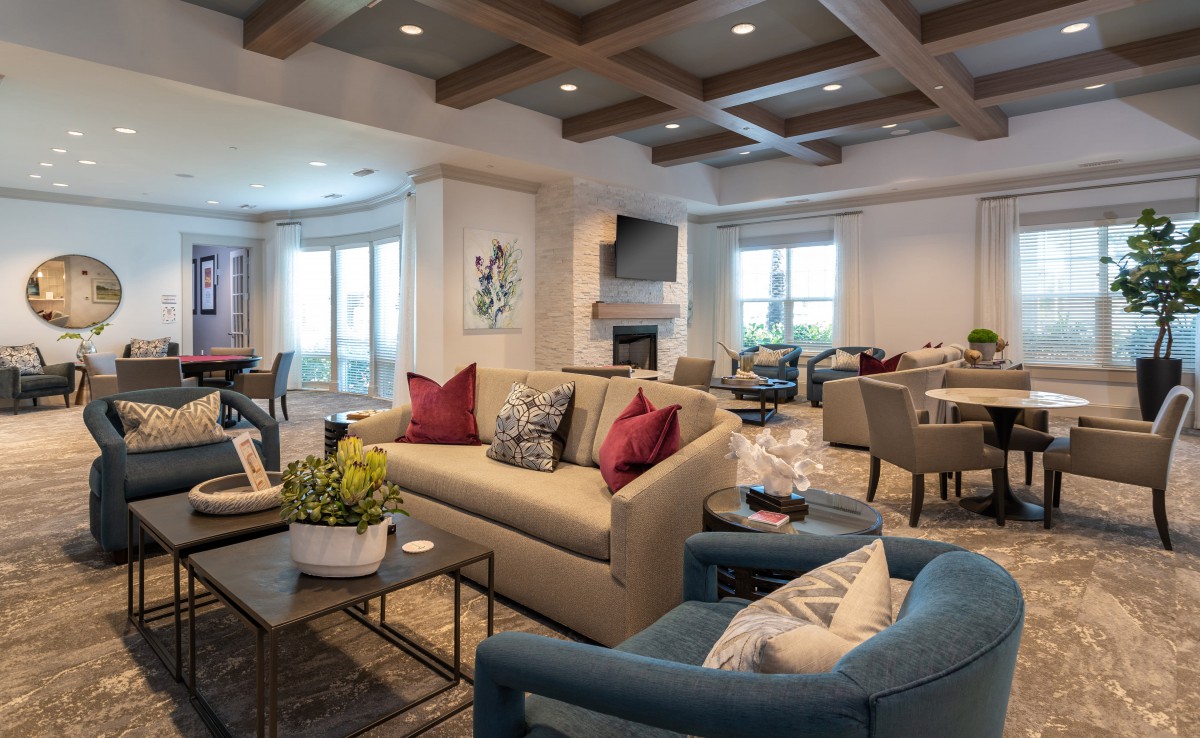 A modern and cozy living room with elegant furniture and decor.