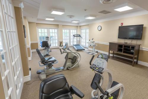 A well-equipped gym featuring various cardio machines for fitness enthusiasts.