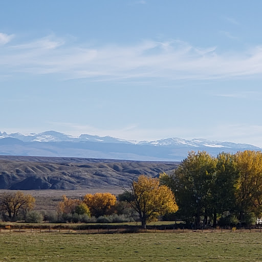 A serene autumn landscape featuring colorful trees in the foreground and snow-capped mountains in the distance under a clear blue sky.