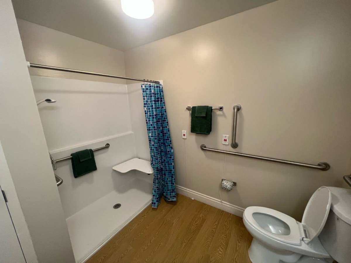 A modern, accessible bathroom with a shower area and grab bars.
