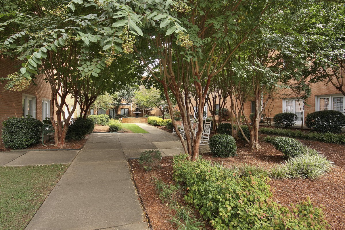 A serene outdoor path lined with trees and greenery.