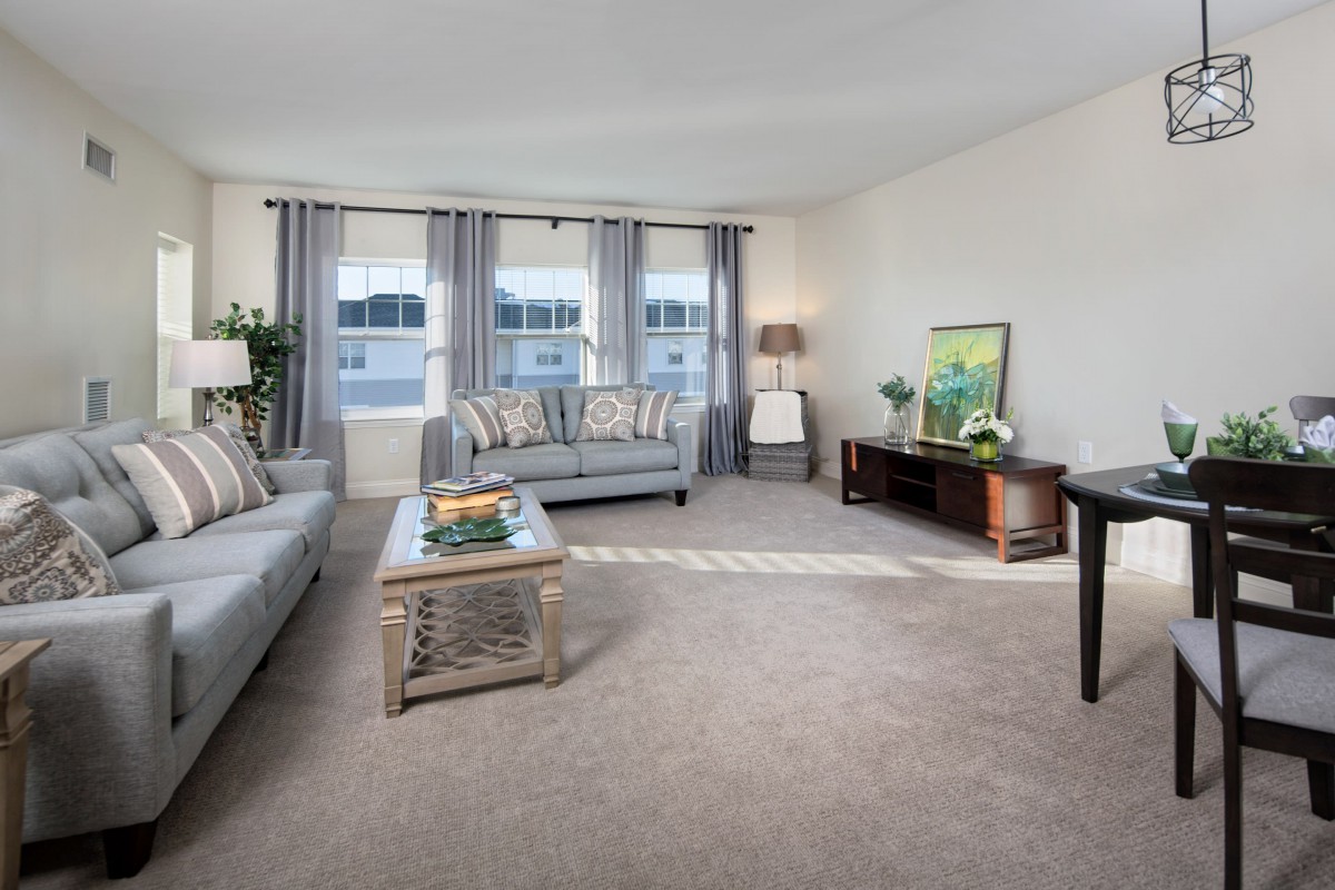 A spacious and well-lit living room featuring modern furniture, including two sofas, a coffee table, and a TV stand, adorned with curtains and decorative plants.