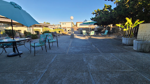 A serene poolside area with lounge chairs under a clear blue sky.