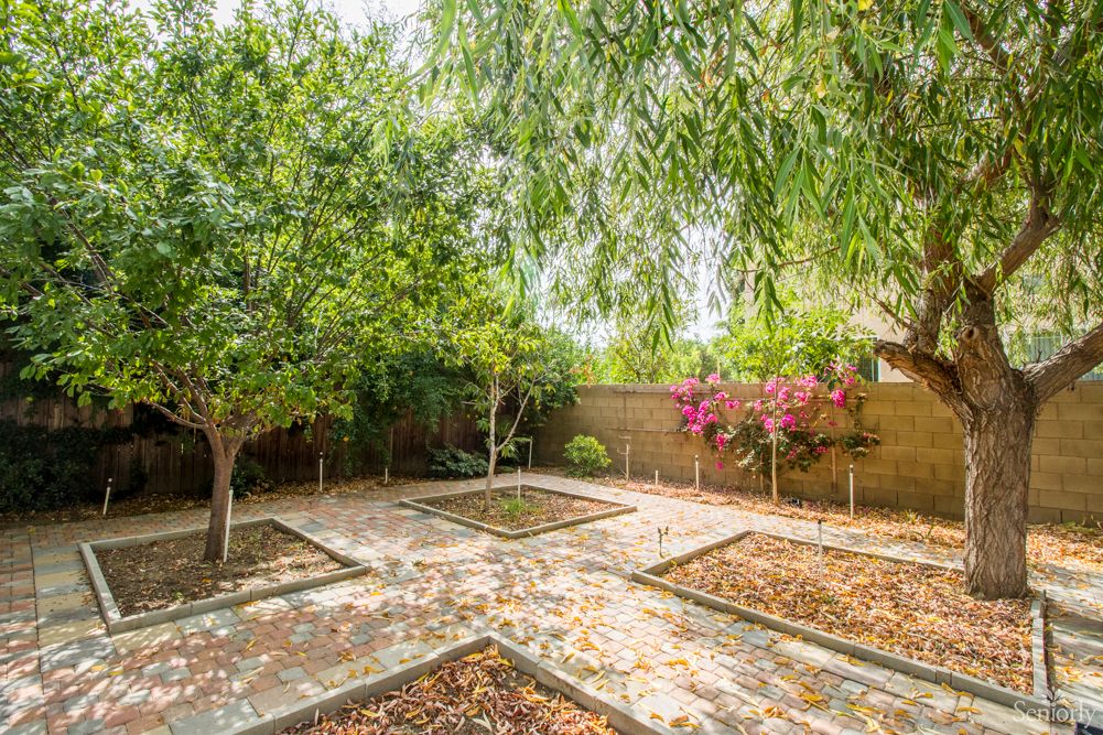 A serene garden with paved paths, surrounded by lush greenery and trees.