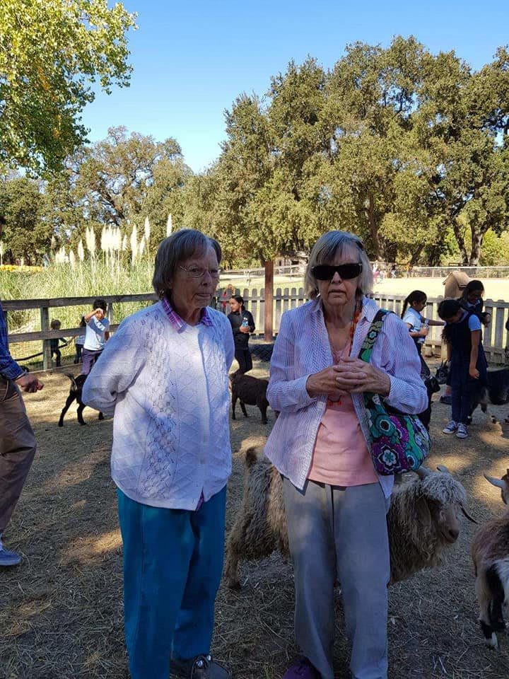 Two people enjoying a sunny day outside near a fenced area with trees in the background.