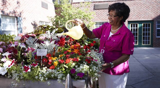 A woman watering a colorful array of flowers outdoors.