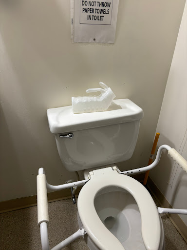 An accessible toilet featuring handrails for support.