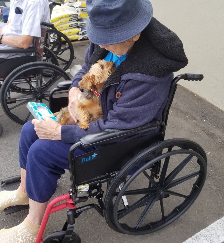 An elderly person in a wheelchair shares a moment with their small dog outdoors.