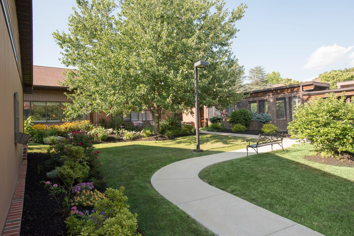 A serene garden with a winding pathway, surrounded by lush greenery and trees on a sunny day.
