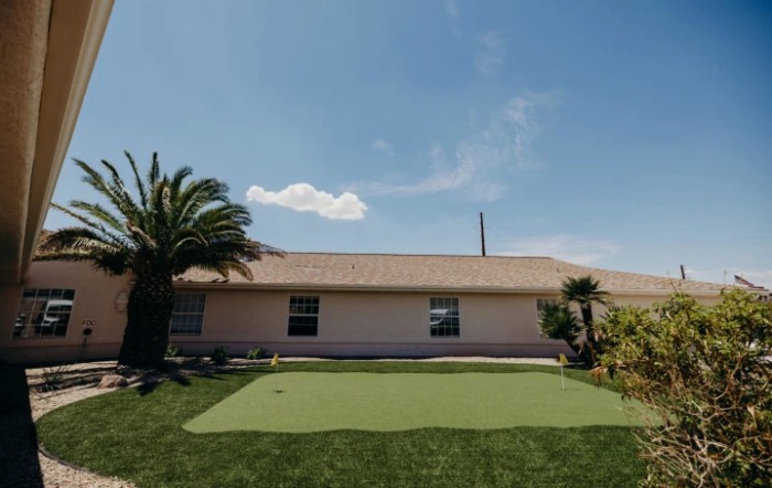 A backyard with a putting green on a sunny day, featuring a house and palm tree.