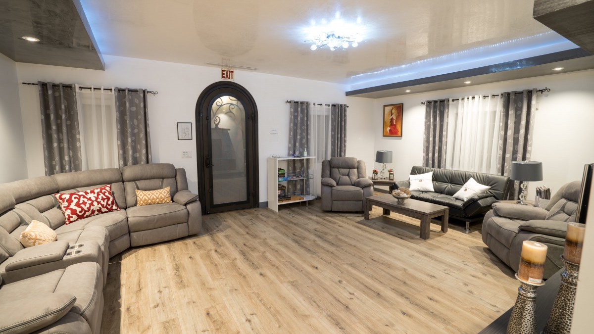 A modern living room featuring comfortable sofas, wooden flooring, and stylish decor.