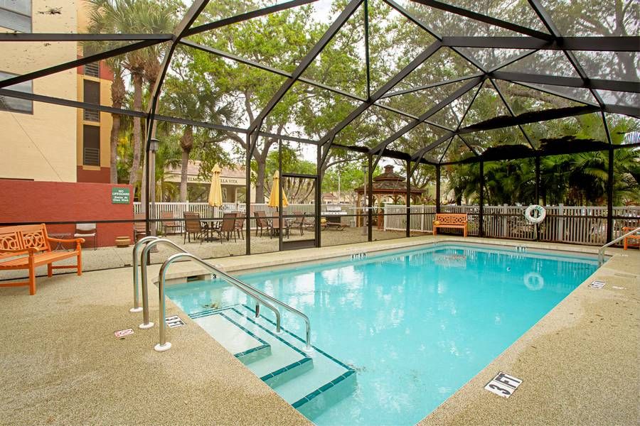 An inviting indoor swimming pool with a glass enclosure surrounded by trees.