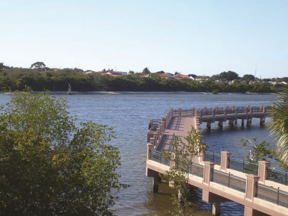 Mangrove Bay