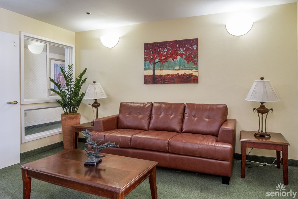 A cozy living room with a leather sofa, coffee table, and decorative elements.