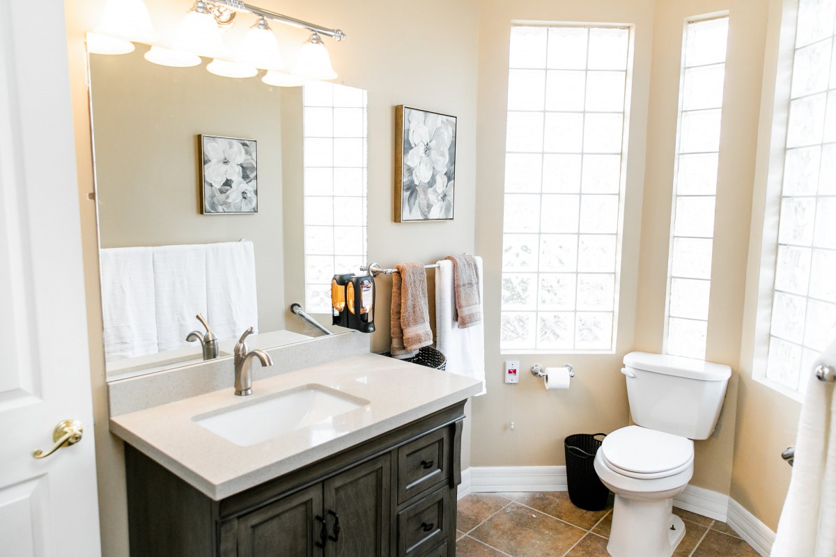 A modern bathroom featuring a sink with a mirror, toilet, and decorative elements.