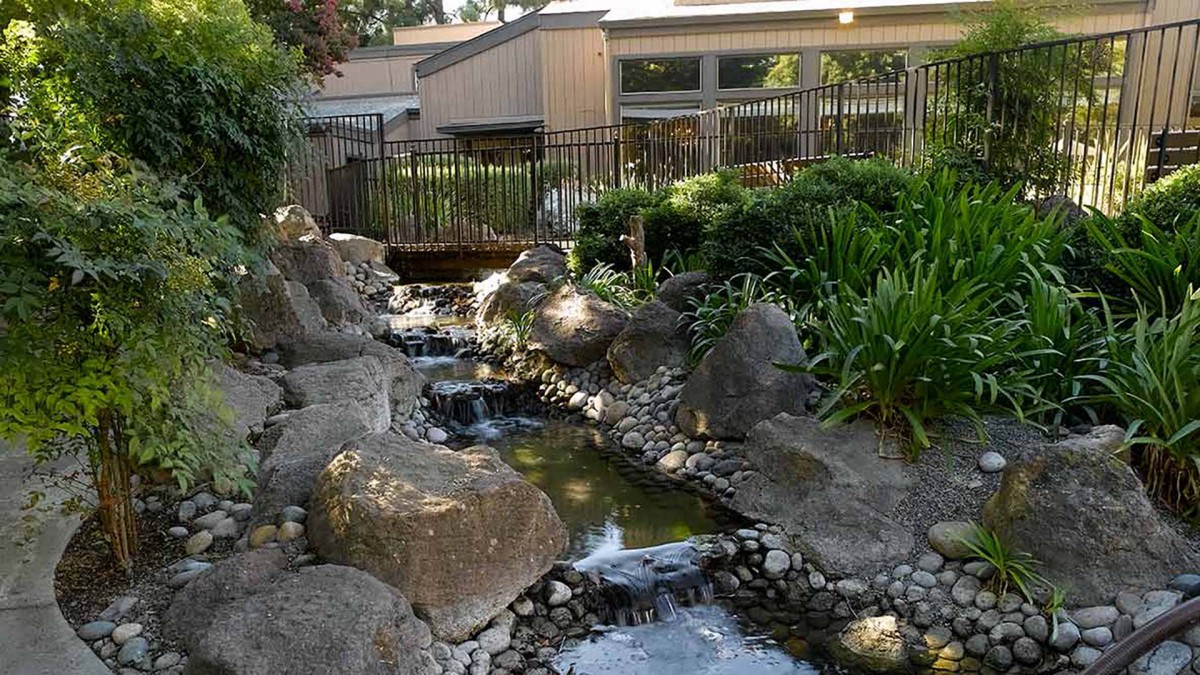 A tranquil garden scene with a flowing stream and lush greenery.