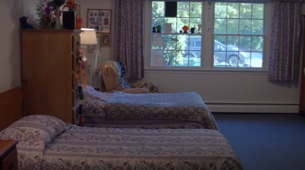 A cozy bedroom with two neatly made beds near a large window allowing daylight in.