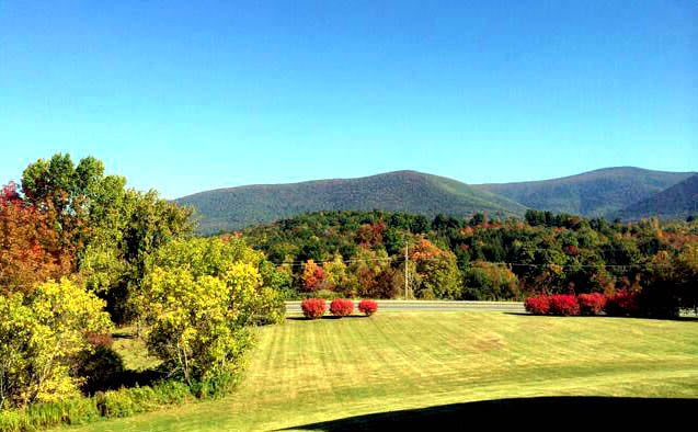 A scenic view of a grassy field with colorful trees and distant mountains under a clear blue sky.
