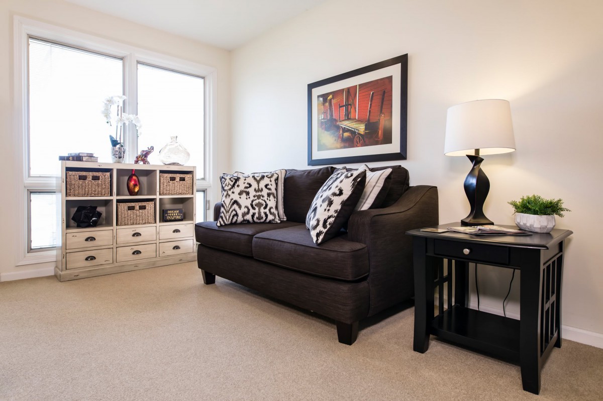 A cozy living room with a dark sofa, patterned cushions, and stylish decor.