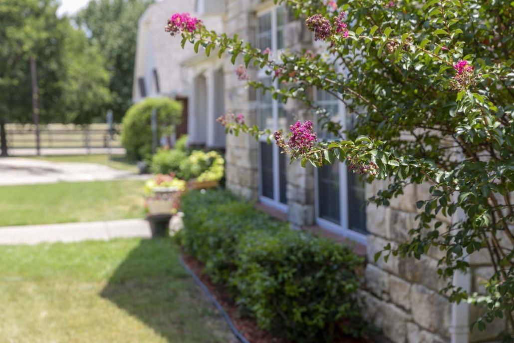 A stone house with a garden featuring blooming flowers and green shrubs.