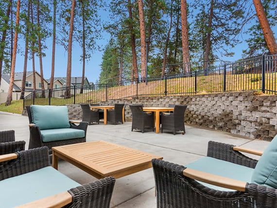 A cozy outdoor patio area with comfortable seating and tables, surrounded by trees.