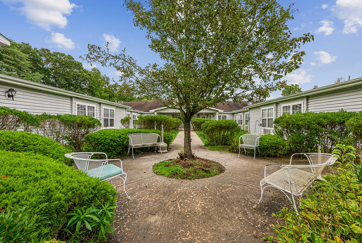 A tranquil garden with a central tree, surrounded by benches and lush greenery.