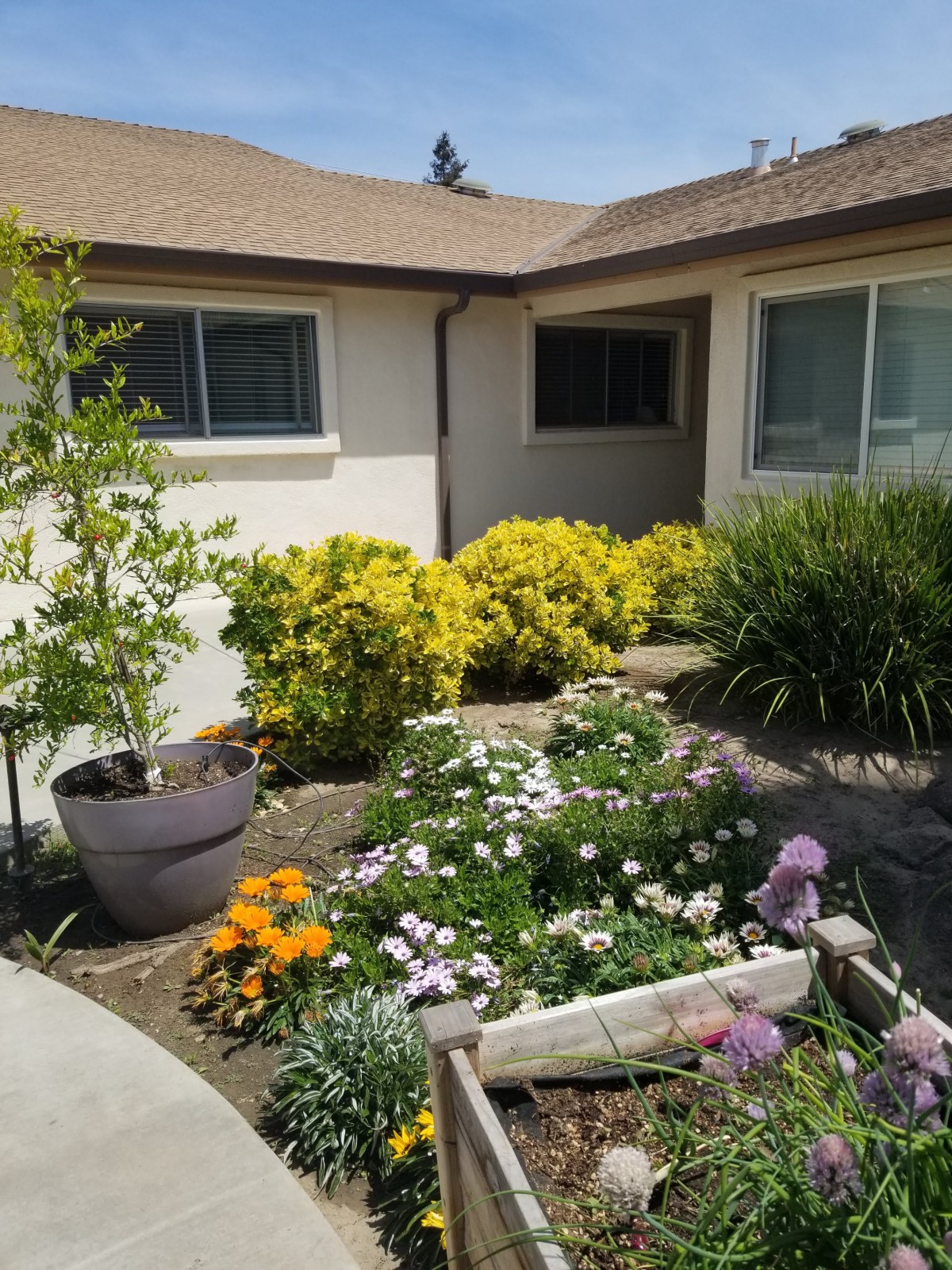 A charming garden with colorful flowers in front of a house.