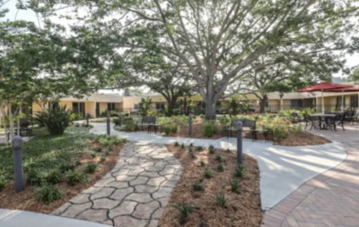 A serene garden with a stone pathway under the shade of large trees.