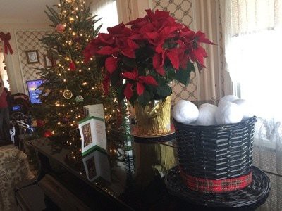 A festive holiday scene featuring a Christmas tree, poinsettia plant, and a basket of decorative snowballs on a table.