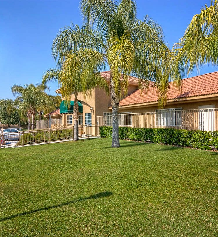 A sunny day view of a building surrounded by palm trees and a well-maintained lawn.