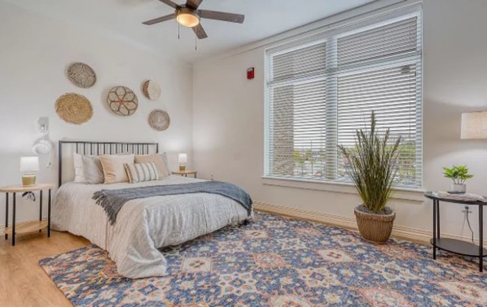 A cozy bedroom featuring a neatly made bed with decorative pillows, a large patterned rug, and wall-mounted decor. The room is brightened by natural light through the large window with white blinds, complemented by a potted plant.