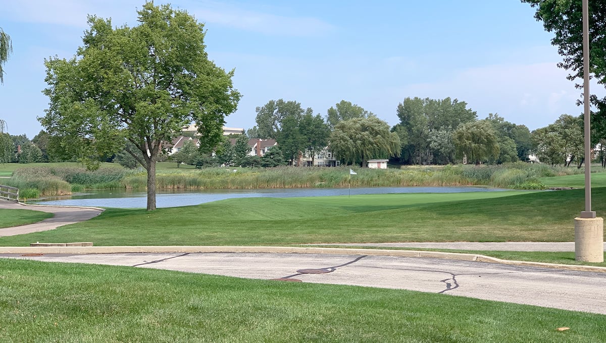 A serene landscape featuring a lush green lawn, a tree, and a calm lake under a clear blue sky.