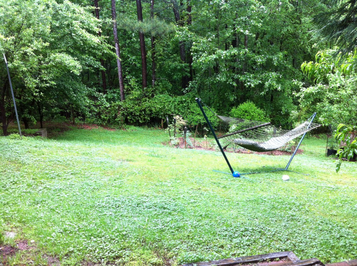 A serene backyard with a hammock surrounded by lush green trees and grass.