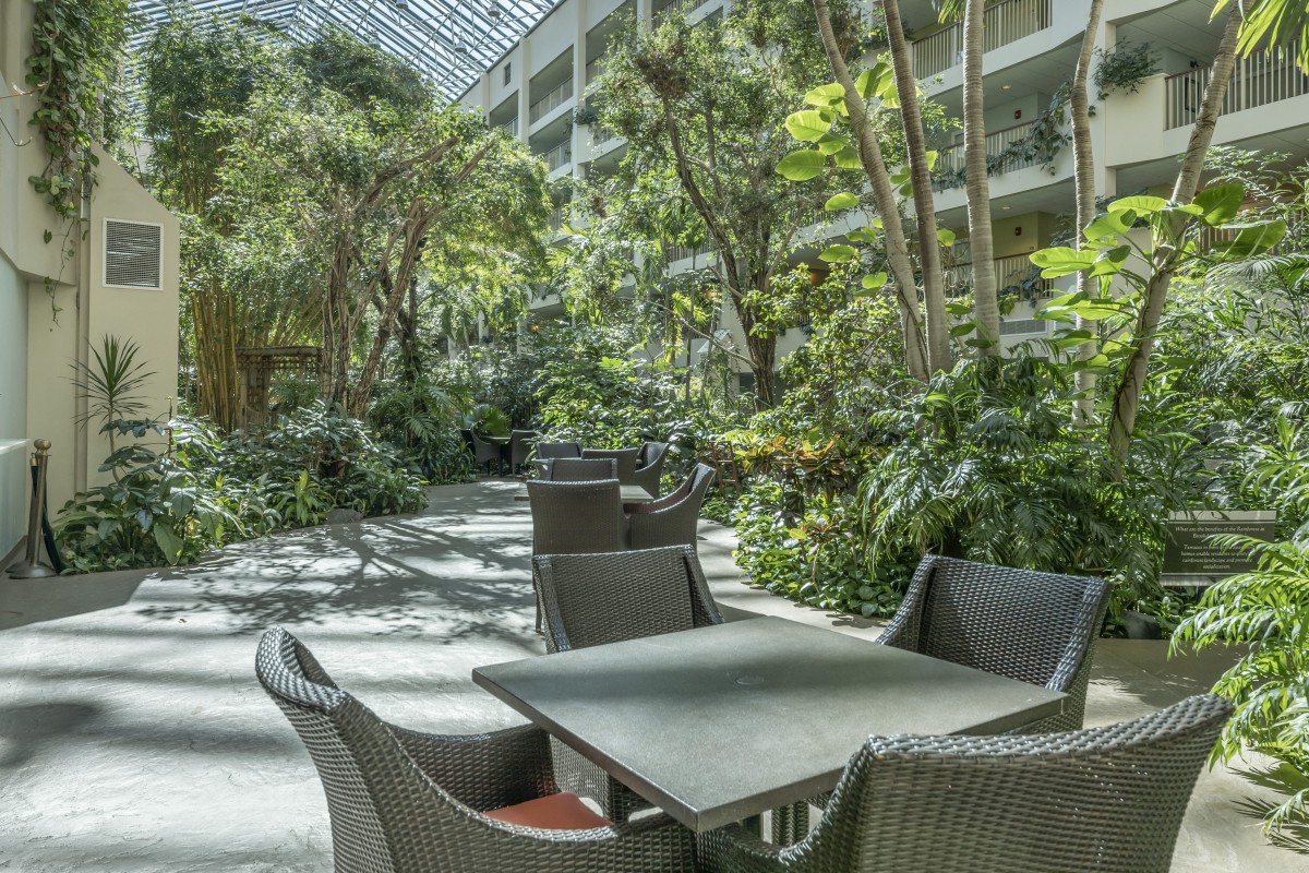 A tranquil indoor garden area with chairs and tables surrounded by lush greenery.