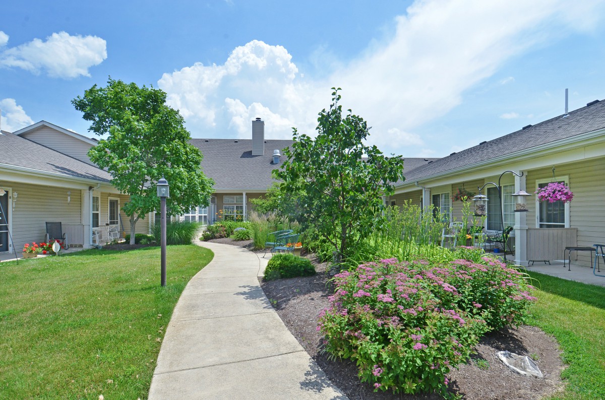 A walkway surrounded by lush greenery leads to a building under a bright blue sky.